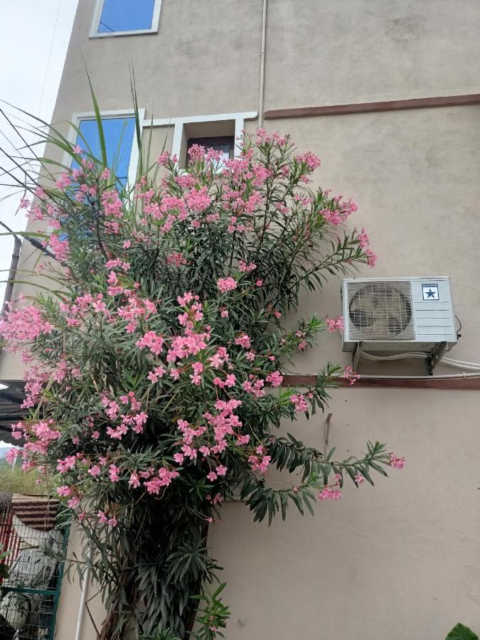 Advik Homestays ティルパティ エクステリア 写真